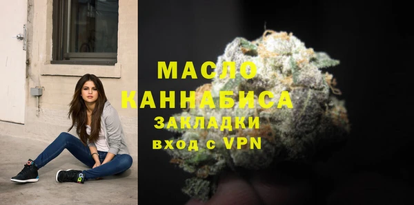 молекула духа Каменка