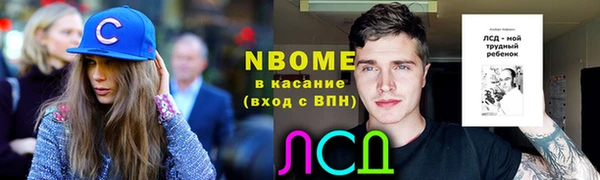 молекула духа Каменка