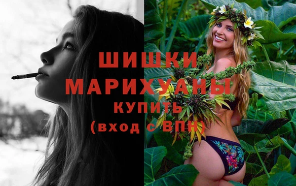 скорость Каменногорск