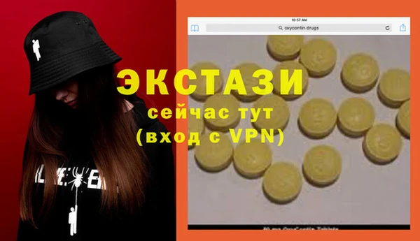 молекула духа Каменка
