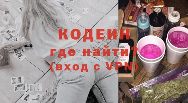 молекула духа Каменка