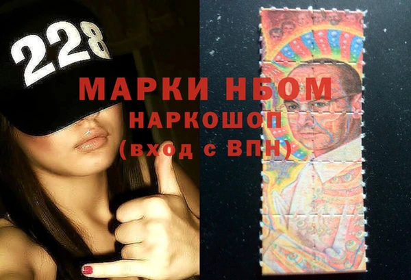 молекула духа Каменка