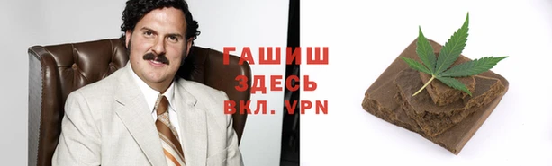 молекула духа Каменка