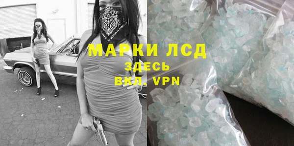 скорость Каменногорск