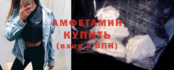 молекула духа Каменка